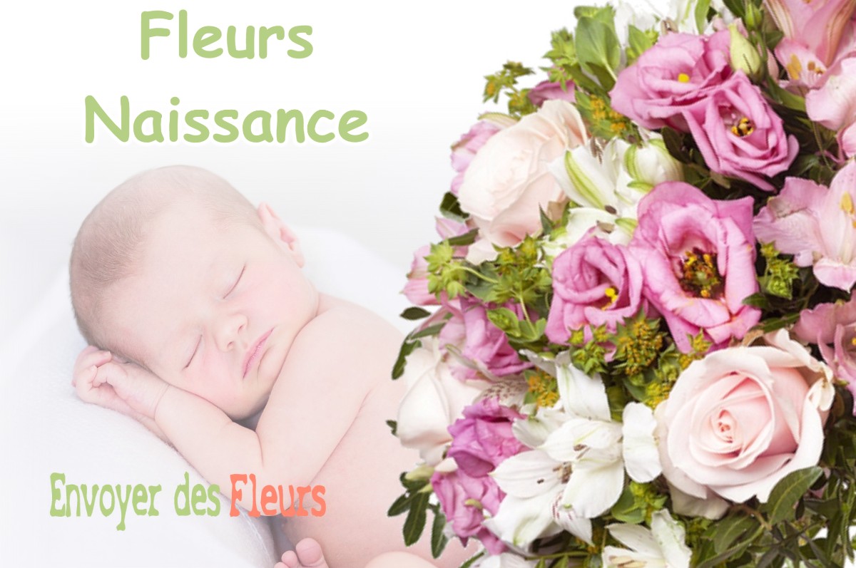 lIVRAISON FLEURS NAISSANCE à SAINT-JULIEN-DE-RAZ